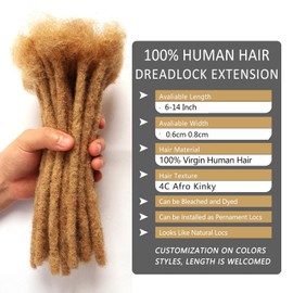 Dreadlock Extensions Human Hair Extensions for Braiding 0.8cm Afro Kinkyhair for Braiding Black Hair Extensions Dreadlocks Extensions (#27-0.8cm, 8Inch （Pack of 30)