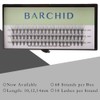 BARCHID Eyelash Extensions Thickness 0.04 inch (0.10 mm) C-Curl Flared