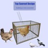 15" H Chicken Pigeon Trap Cage Birdcage Small Animal Trap