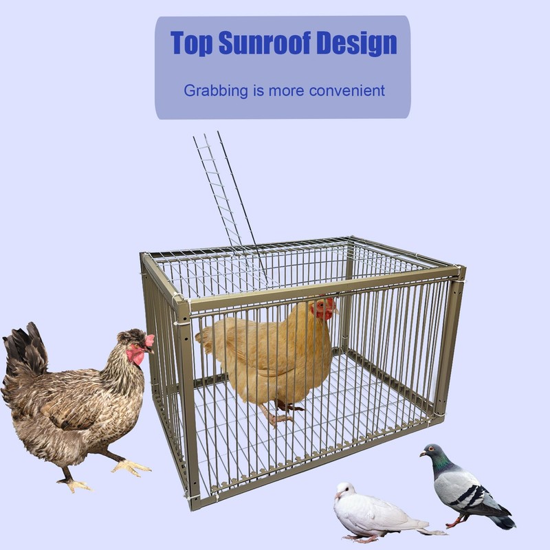 15" H Chicken Pigeon Trap Cage Birdcage Small Animal Trap