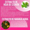 Kit 2 Frasco Quemador Suplemento Reductivo Lipoenzimas 90cáp