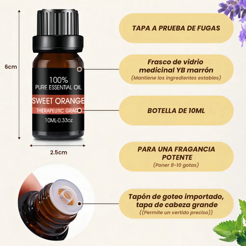Kit De 12 Aceites Esenciales Aromaterapia 100% Puro 10ml Spa