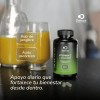 Domos Vitamina Raíz Jengibre 120 Cápsulas 500