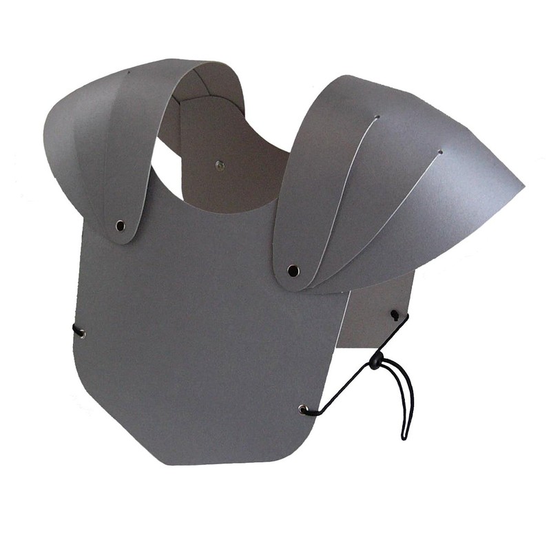 BestSaller Chest Armour for Children, Sturdy Box, Ready Assembled, Colour: