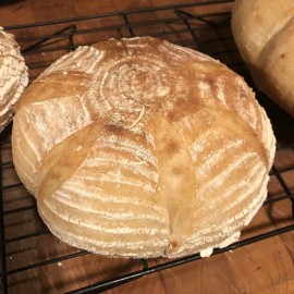 Heritage Sourdough Sourdough Starter DEHYDRATED Sour ORGANIC 150+ Year Old Italian - 15 Gram Bag
