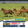 edoia Equine Paste 1.87% – 6 Pack (6.08g) Apple Flavored
