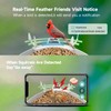 Smart Bird Feeder with Camera, AI Identify Bird Breed,Auto Capture
