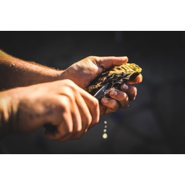 Dexter-Russell 2.75-inch Oyster Knife, New Haven pattern, Metallic