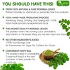 TOG999, Premium 8oz Moringa Leaf Powder, 100% Natural and Pure