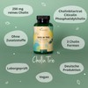 Vegavero Cholin Kapseln | Einzigartig: 3 Formen | Bitartrat, Citicolin