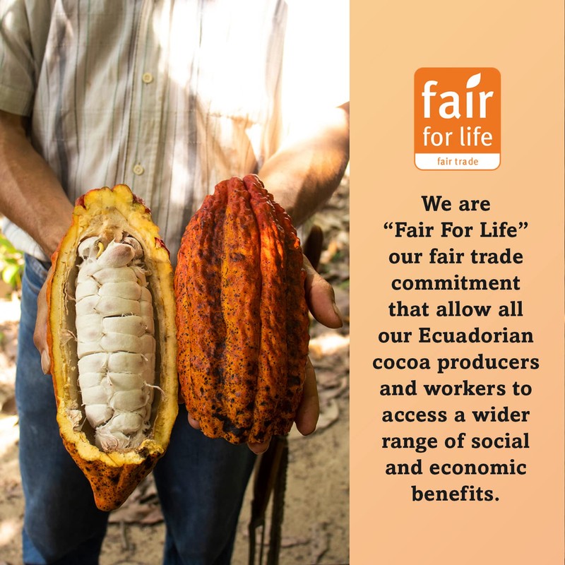 Ecoideas Organic Ft Cacao Powder, 113g, Brown, ECO-FT11