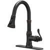 BATHFINESSE Kitchen Faucet, Oil Rubbed Bronze Finish, 360 Degree Swivel,