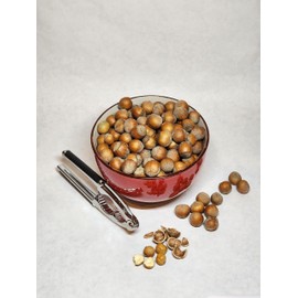 Hazelnuts in-shell, from our family orchard in Washington state (Roasted, 4 pounds)