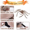 bogbago Disfraz de araña para Perro, Divertido Disfraz para Perro