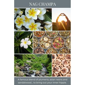 Eco Candle Co. Tea Light Candles, Nag Champa, 10-Pack - Scents of Plumeria, Asian Resins, & Sandalwood - Recyclable Plastic Cups, 100% Soy Wax, No Lead, Hand Poured, Midwest Soybeans, .6 oz. Each