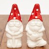 Garden Gnome Salt & Pepper Shaker Set