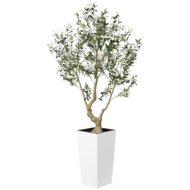LYERSE Faux Olive Tree 6ft - Olive Trees Artificial Indoor with White Tall and Large Planter - Fake Olive Tree with Natural Wood Trunk and Lifelike Fruits for Home House Office Decor