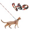 pidan Cat Harness, Double Lock, Easy, Cat Leash Harness Set,