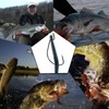 9KM DWLIFE EWG Fishing Hooks 25Pcs Offset Worm Hook Texas
