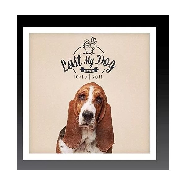 VARIOUS ARTISTS LOST MY DOG 10X10-2011 NEW CD