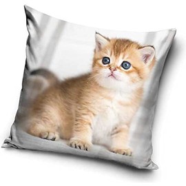 Cat Baby Motif Cushion Cover 40 x 40 cm (PNL215079)