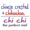 CafePress Chi Chi Perfect Mix Rectangle Bumper Sticker Car Decal