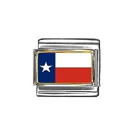 Clearly Charming Texas State Flag Italian Charm Bracelet Link