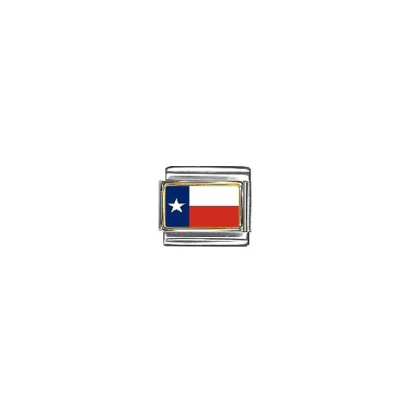 Clearly Charming Texas State Flag Italian Charm Bracelet Link