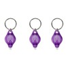 MACHSWON 3PCS Mini Keychain Torches Flashlight UV Money Checker Key-Chain