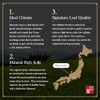 Ocha & Co. Hojicha Powder - Organic Roasted Green Tea