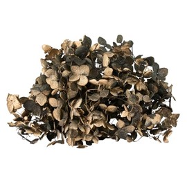 東北花材 プリザーブドフラワー FMソフトアナベル キャンディBOX BOXサイズ□8×H8cm 1輪入 DT080787-zzz