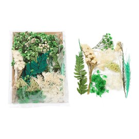 Real Dried Flowers for Crafts, Natural Dry Flowers for Crafts Mixed Natural Pressed Flowers, Small Dried Flowers for Resin Dry Flowers for Candle Making (Green 1)