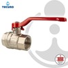 tecuro Ball Valve, Internal Thread on Both Sides Rp 1