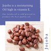 Absolute Aromas Absolute Aromas Jojoba Oil 500ml - 100% Pure,