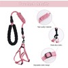 Mini Pig Harness, Adjustable Small Pig Harness with Leash Infinity