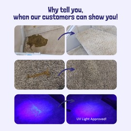 Sunny & Honey Carpet Cleaner & Odor Remover Spray - 128 Fl Oz, Light Lavender Scent - Enzyme Cleaner for Dog Urine & Cat Pee - Pet Stain Remover - Urine Odor Eliminator