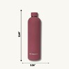 Anoko & Co. Insulated Stainless Steel Water Bottle with Cleaning
