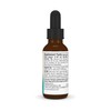 Source Naturals Source Naturals Wellness Oil of Oregano, Standardized to