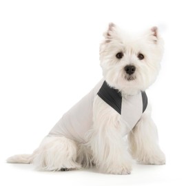 2 Packs Dog Shirts for Small Dogs, Super Lightweight Cooling Vest, Quick Dry Summer Clothes for Small Dogs Boy Girl, Pet Outfit Sun Protection Tank top (Grey+Pink, XL)