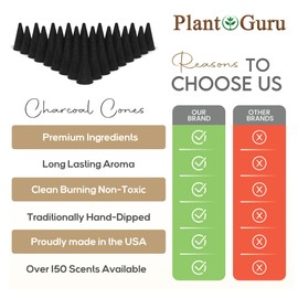 Pumpkin Spice Charcoal Incense Cones 1" TOPFLOW - 100 Pack - Natural Scented Cones Handmade Hand Dipped