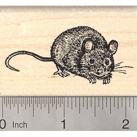 Mouse Rubber Stamp, Small pet or Wildlife
