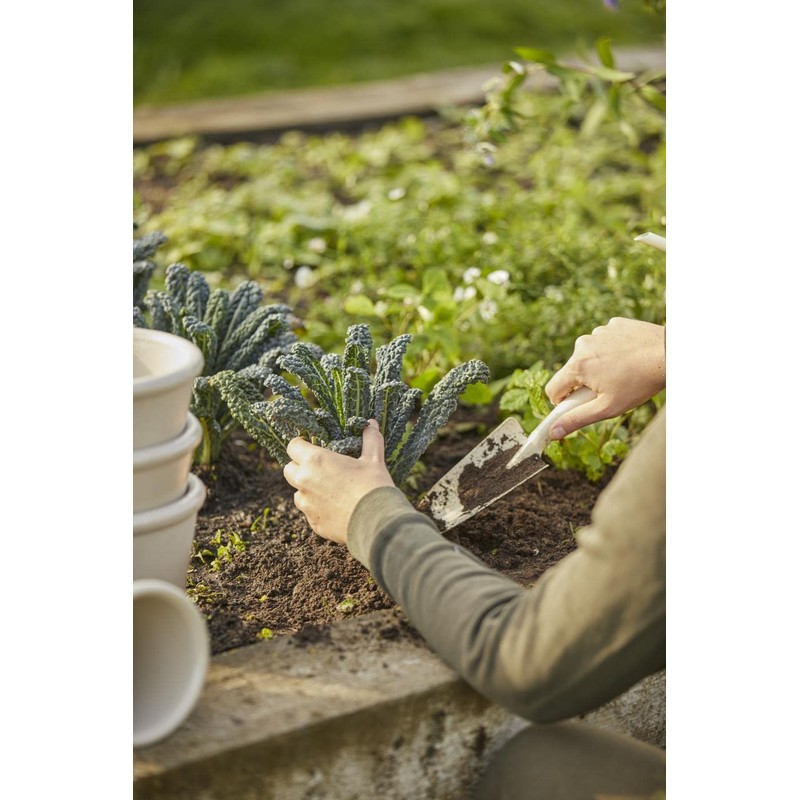 IB Laursen Plant Shovel Cream