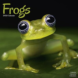 Frog Calendar - Cute Animal Calendar - Calendars 2022 - 2023 Wall Calendars - Animal Calendar - Frogs 16 Month Wall Calendar by Avonside