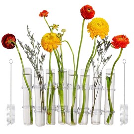 8PCS Test Tube Vases Decorative Glass Flower Vase Hinged Flower Vases Planter Flower Arranging Container Hydroponic Flower Holder Decor with 15PCS Hooks and 2PCS Brushes (VASES- A)