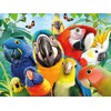 Ceaco - Selfies - Perfect Parrot - 500 Piece Jigsaw