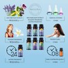 Wecona Essential Oils for Laundry - 100% Pure Essential Oils