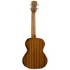 Luna Lizard Mahogany Tenor Ukulele Package