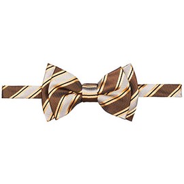 Retreez Preppy Stripe Pattern Woven Microfiber Pre-tied Boy's Bow Tie - Brown and Grey - 8-10 years