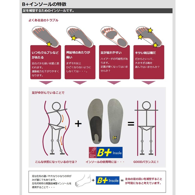 HOSHINO(ホシノ) B+ Insole(B Plus) All-Round Model for 1 Pair B+LDe