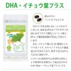 大日ヘルシーフーズ DHA EPA イチョウ葉 40粒入×6袋（120日分） 大豆レシチン ビタミンE 配合 サプリ
